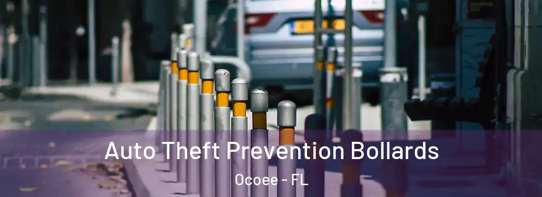 Auto Theft Prevention Bollards Ocoee - FL
