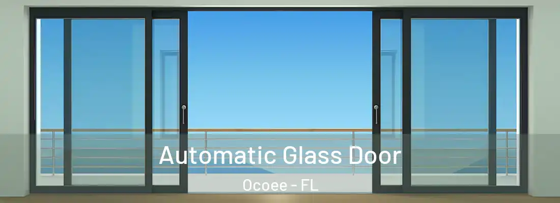 Automatic Glass Door Ocoee - FL