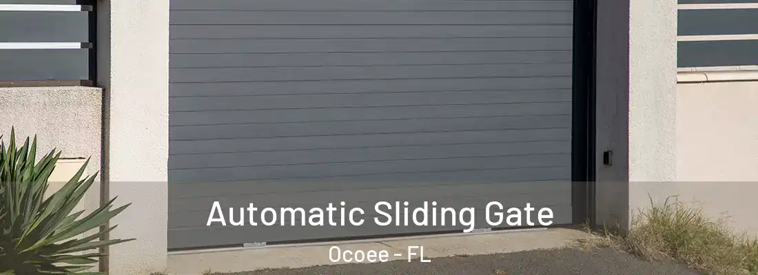 Automatic Sliding Gate Ocoee - FL