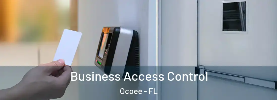 Business Access Control Ocoee - FL