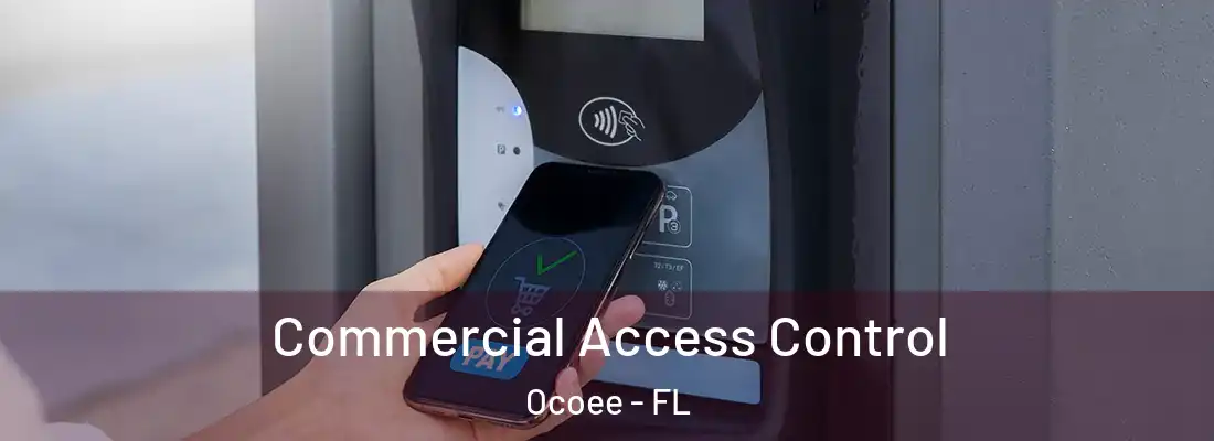 Commercial Access Control Ocoee - FL