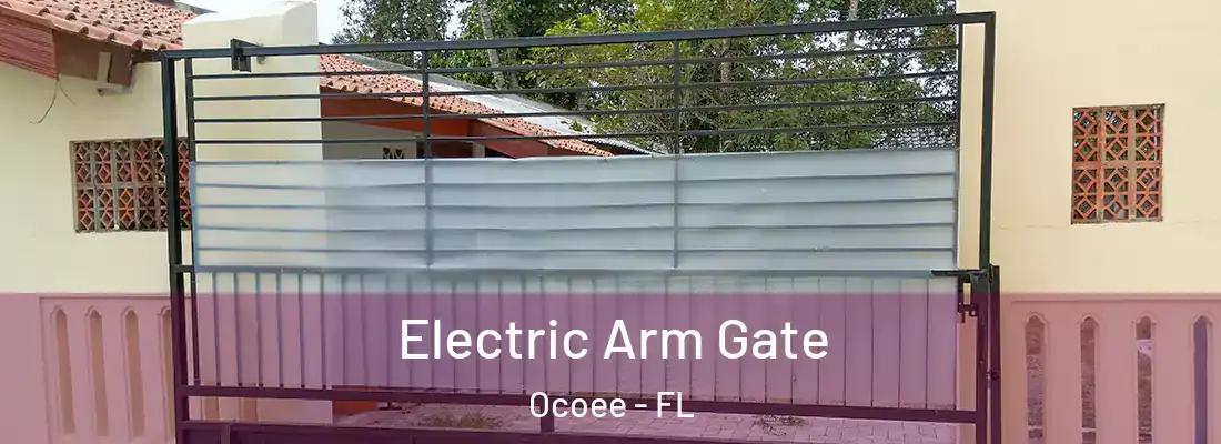 Electric Arm Gate Ocoee - FL