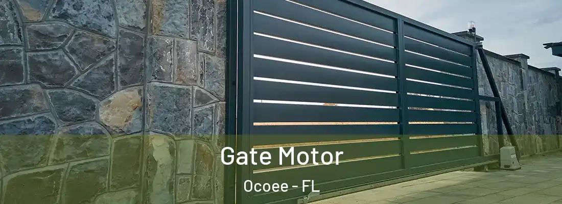 Gate Motor Ocoee - FL