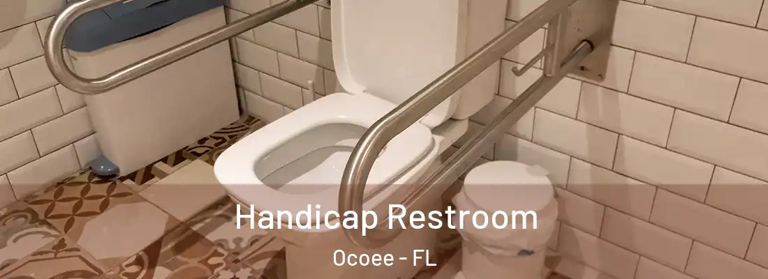 Handicap Restroom Ocoee - FL