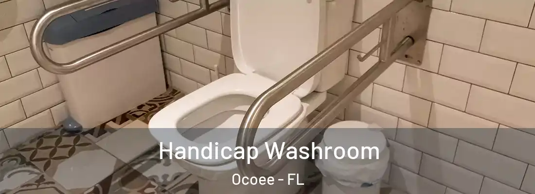 Handicap Washroom Ocoee - FL
