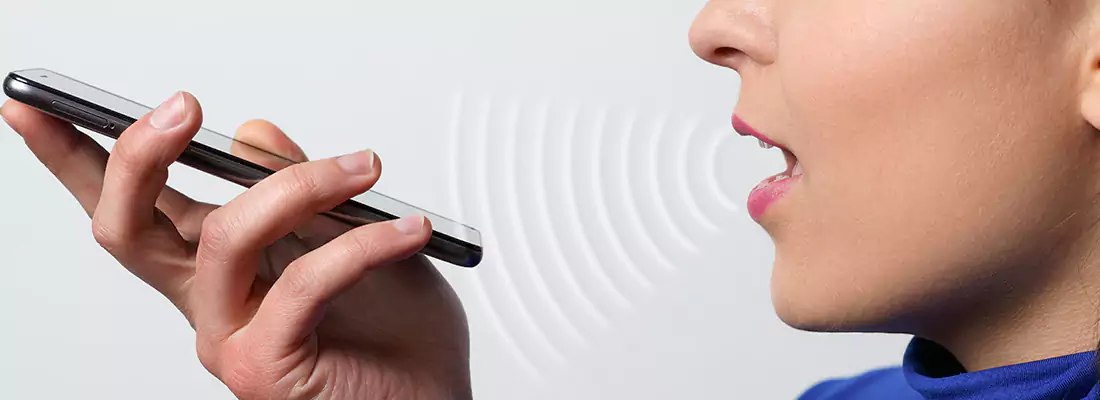 Residential and Commercial Voice Recognition Access Solutions in Ocoee, FL