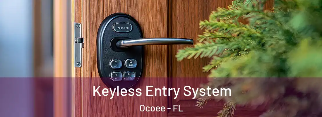 Keyless Entry System Ocoee - FL