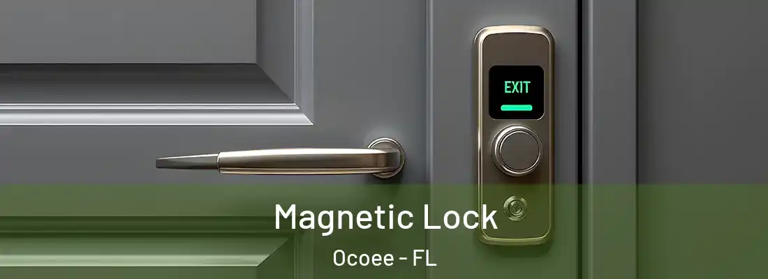 Magnetic Lock Ocoee - FL
