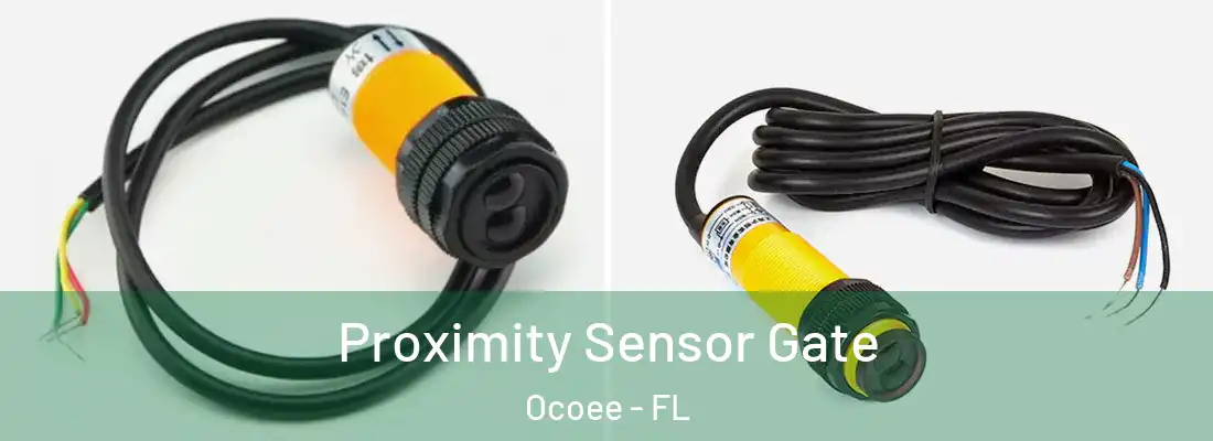 Proximity Sensor Gate Ocoee - FL