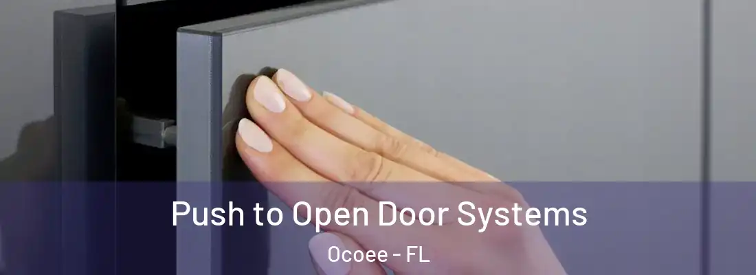 Push to Open Door Systems Ocoee - FL