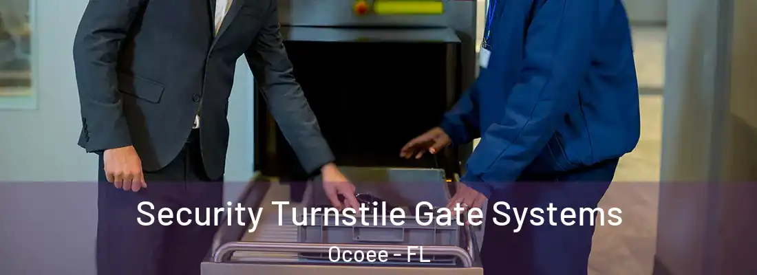 Security Turnstile Gate Systems Ocoee - FL
