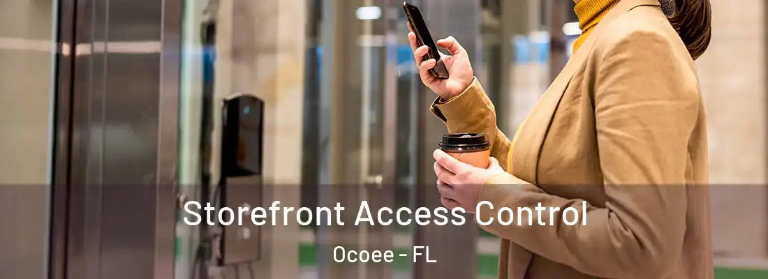 Storefront Access Control Ocoee - FL