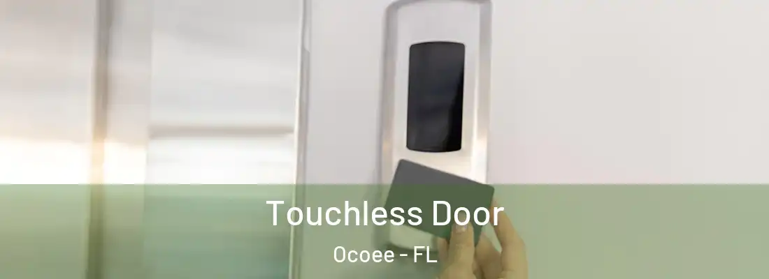 Touchless Door Ocoee - FL